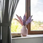 къща до гората Guest house 3*