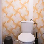 къща до гората 3* Trigrad