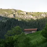 къща до гората 3* Trigrad