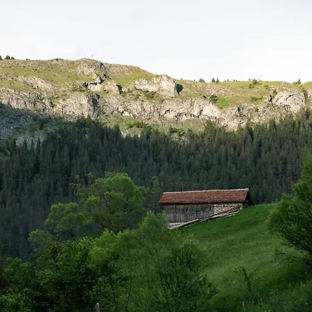къща до гората * Trigrad