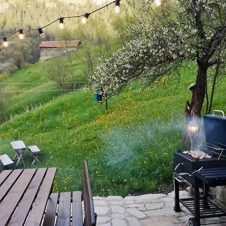 къща до гората 3* Trigrad