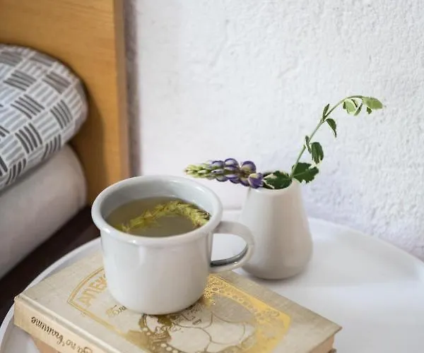 къща до гората Pensión 3*