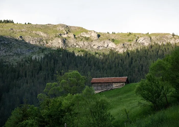 къща до гората 3* Trigrad