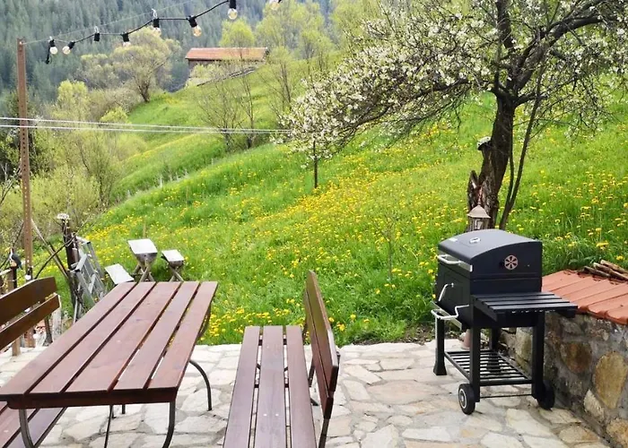 Pensión къща до гората